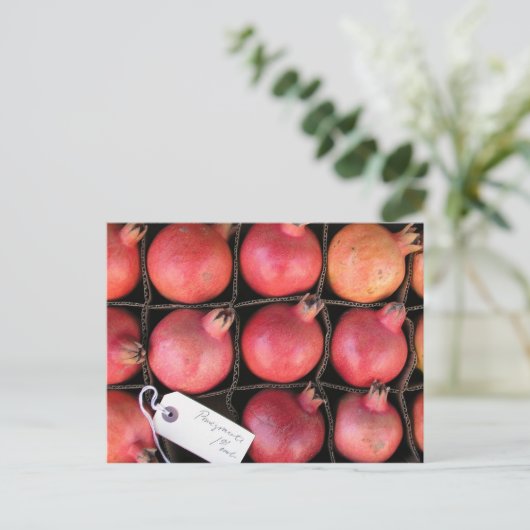 ザクロ ポストカード (スタンド正面)