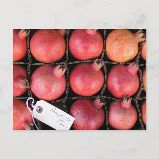 ザクロ ポストカード (正面)