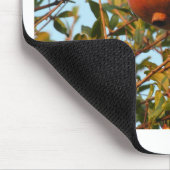 ザクロ マウスパッド (コーナー)