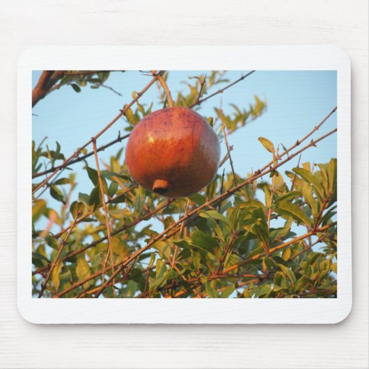 ザクロ マウスパッド (正面)