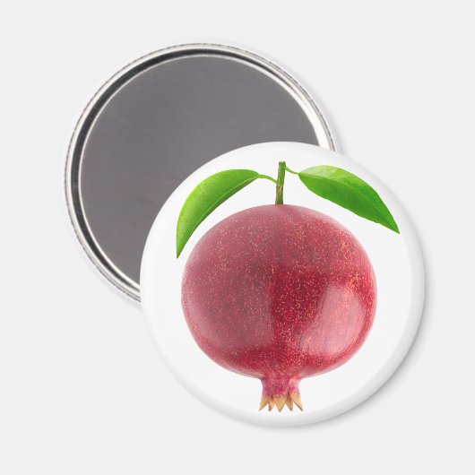 ザクロ マグネット (正面/裏面)