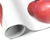 ザクロ ラッピングペーパー (ロールコーナー)