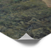 ザグリーナー， 1877 ポスター (角)