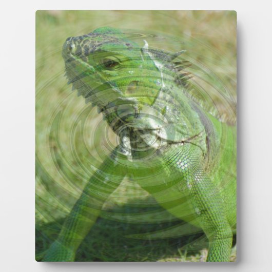 ザグリーンイグアナ フォトプラーク (正面)