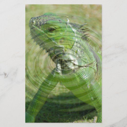 ザグリーンイグアナ 便箋 (正面)