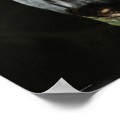 ザグレイ素晴らしフクロウの羽 ポスター (角)