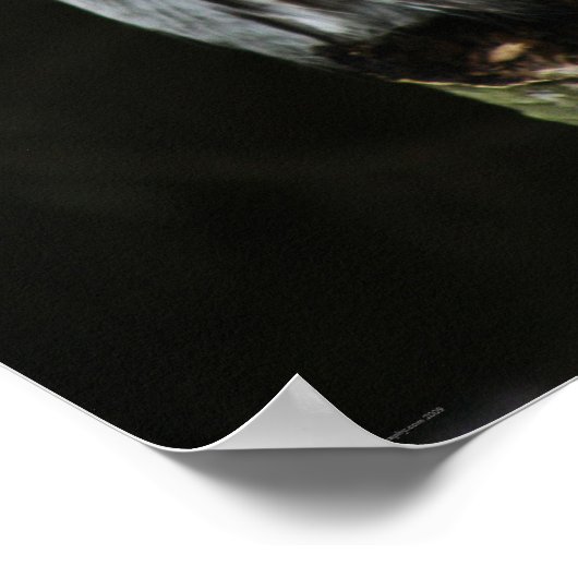 ザグレイ素晴らしフクロウの羽 ポスター (角)