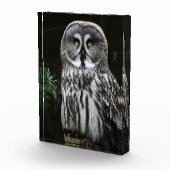 ザグレイ素晴らしフクロウ フォトブロック (右)