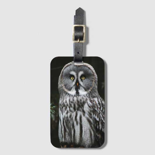 ザグレイ素晴らしフクロウbc ltcna ラゲッジタグ (正面縦)