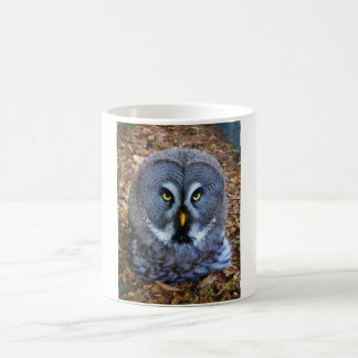 ザグレイ素晴らしフクロウStrix Nebulosa Lapland Owl コーヒーマグカップ