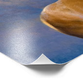 ザグレン（昆虫）オオカバマダラ、モナークバイエドウィン・ランドセル フォトプリント            (角)