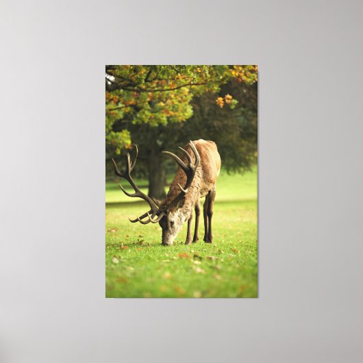 ザグレージングスタッグ キャンバスプリント (正面)