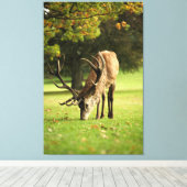 ザグレージングスタッグ キャンバスプリント (インサイチュ (ウッドフロア))