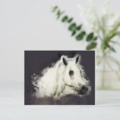 ザグレー ポストカード (スタンド正面)