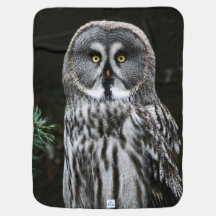 ザグレ素晴らしフクロウ