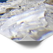 ザケア – ニュージーランドのアプリンパロット ポスター (角)