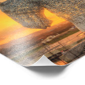 ザケパイズ フォトプリント            (角)