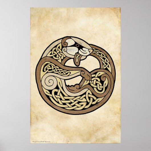 ザケルトのフェレット ポスター (正面)