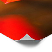 ザケージドリリー花の写真 ポスター (角)