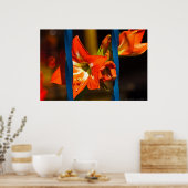 ザケージドリリー花の写真 ポスター (キッチン)