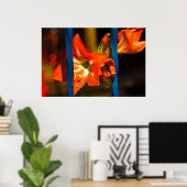 ザケージドリリー花の写真 ポスター (ホームオフィス)