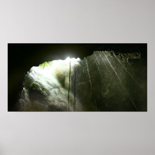 ザケーブ ポスター (正面)