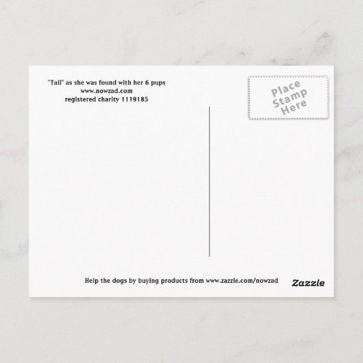 ザケーブ ポストカード (裏面)