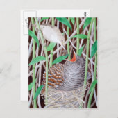 ザコモン・カッコウ ポストカード (正面/裏面)