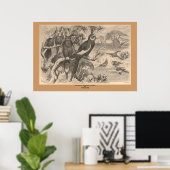 ザコレラ ポスター (ホームオフィス)