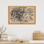 ザコレラ ポスター (キッチン)