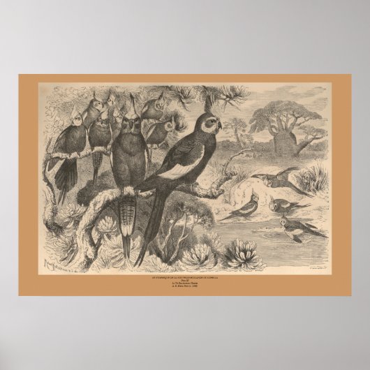 ザコレラ ポスター (正面)