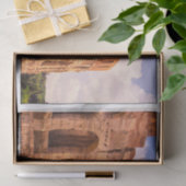 ザコロッセウムローマイタリアティッシュペーパー 薄葉紙 (ギフト)