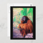 ザコンセプター – ポストカード (正面/裏面)