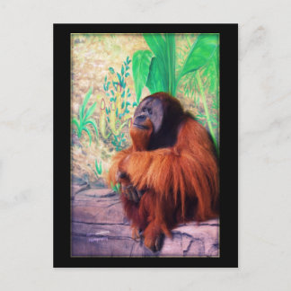 ザコンセプター – ポストカード