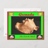 ザコンチシェル ポストカード (正面/裏面)