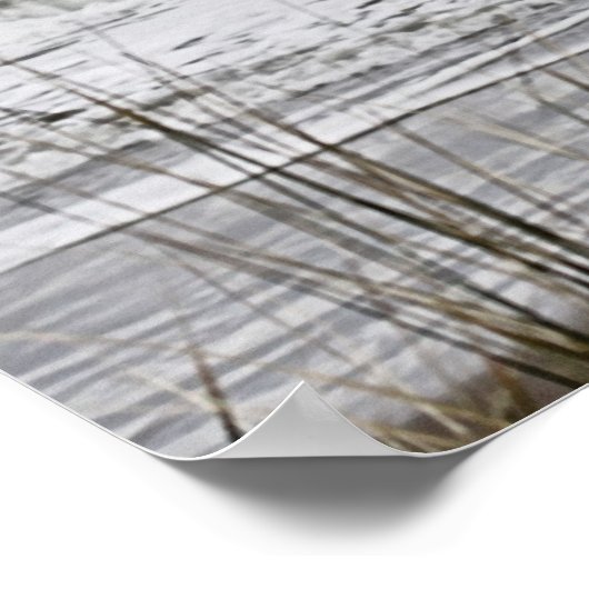 ザコースト ポスター (角)