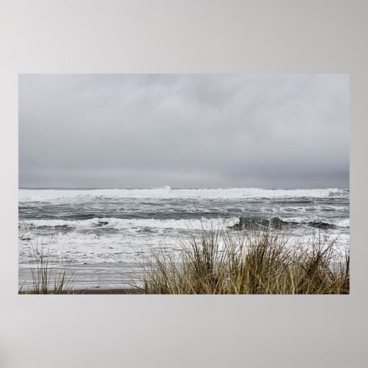 ザコースト ポスター (正面)