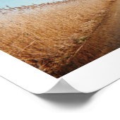 ザコーズウェイ ポスター (角)