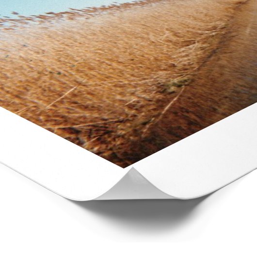 ザコーズウェイ ポスター (角)