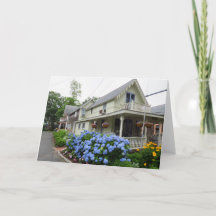 ザコーナーのアジサイ – マーサのブドウ畑