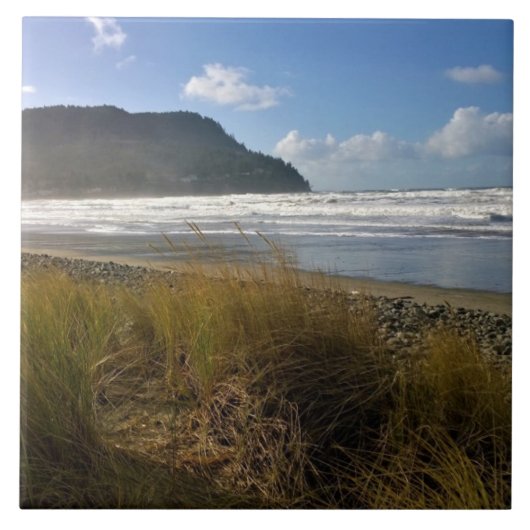 ザコーブ、シーサイド、オレゴン タイル (正面)