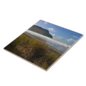 ザコーブ、シーサイド、オレゴン タイル (側面)