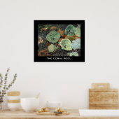 ザコーラルプール ポスター (キッチン)