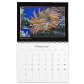 ザコーラルリーフカレンダー カレンダー (2月 2027)