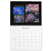 ザコーラルリーフカレンダー カレンダー (3月 2027)