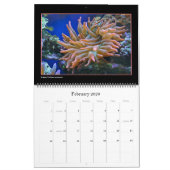 ザコーラルリーフカレンダー カレンダー (2月 2026)