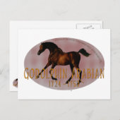 ザゴドルフィンアラビア ポストカード (正面/裏面)