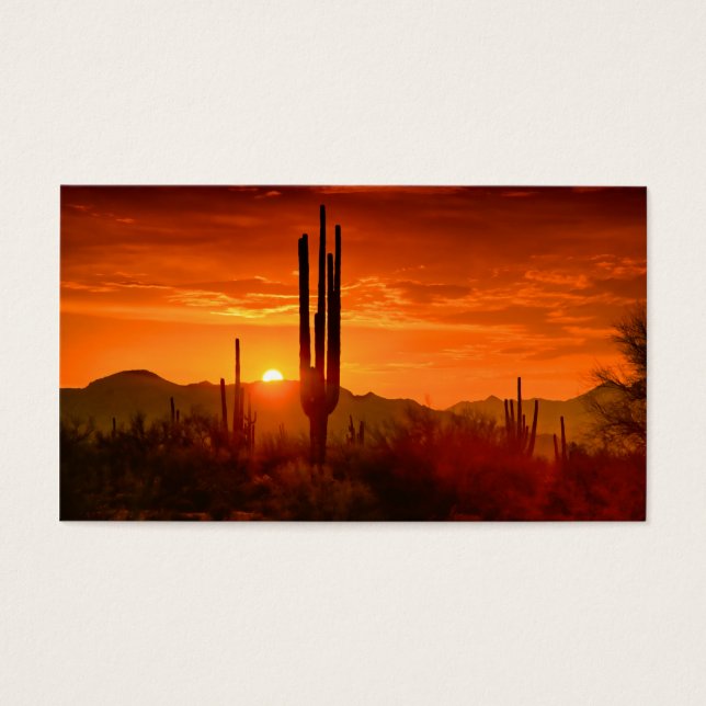 ザゴールデンサウスウエストの空 (正面)