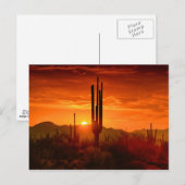 ザゴールデンサウスウエストの空 ポストカード (正面/裏面)