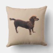 ザゴールデンダックシュント クッション (裏面)